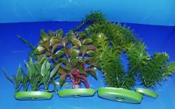 Picture of plastic plants